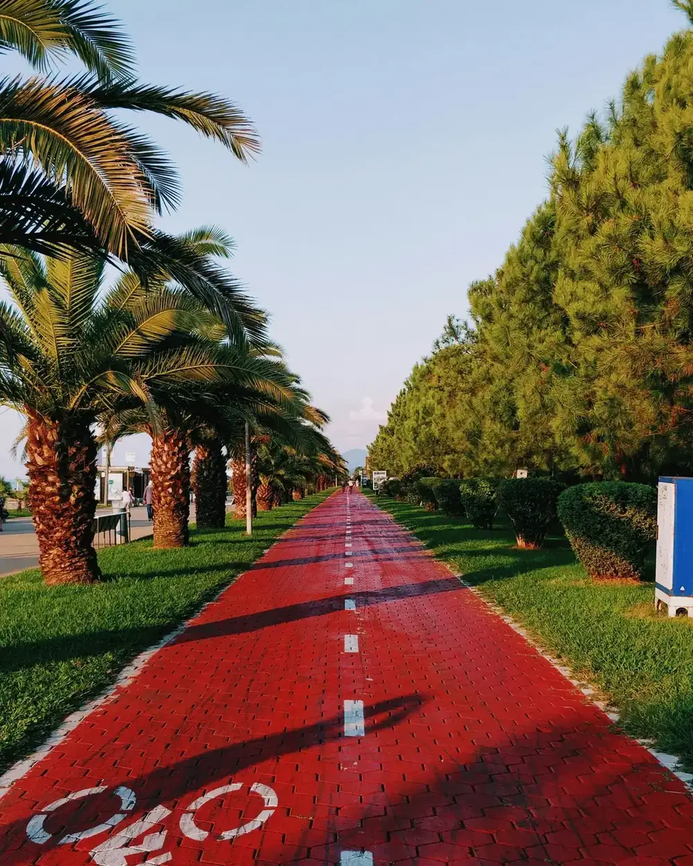 The palm-lined promenade in Batumi, made for an unhurried afternoon