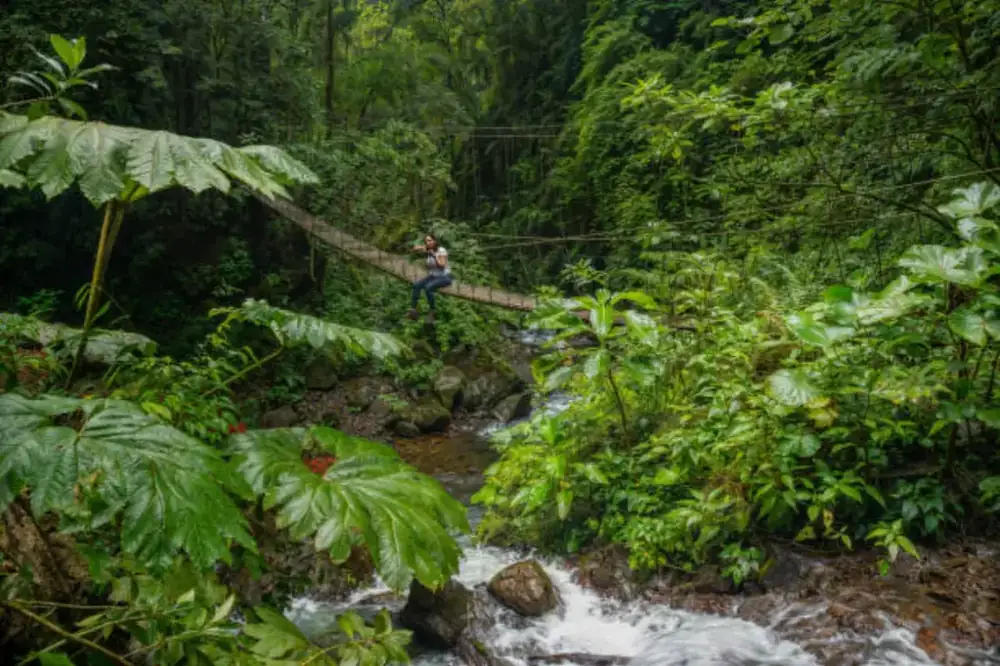 Mtirala Rainforest Experience — photo 7