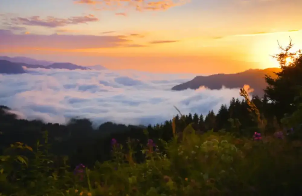 Sea of clouds at sunset on Gomis Mta, Guria, Georgia
