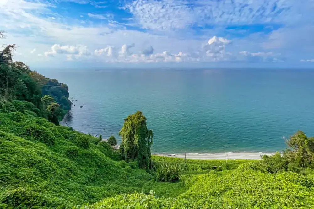 Batumi Botanical Garden coast above the Black Sea, Georgia