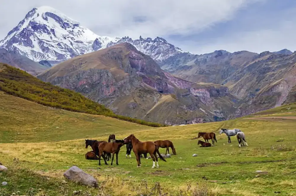 Horseback riding below Mount Kazbek, Georgia
