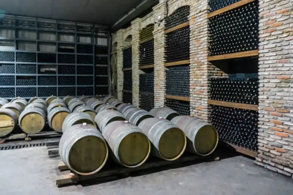 Kakheti wine cellar with qvevri and barrels, Georgia