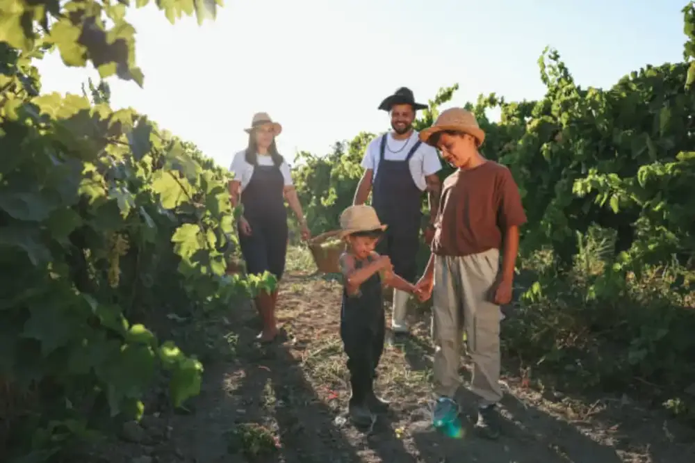 Kartli family winery vineyards in Georgia